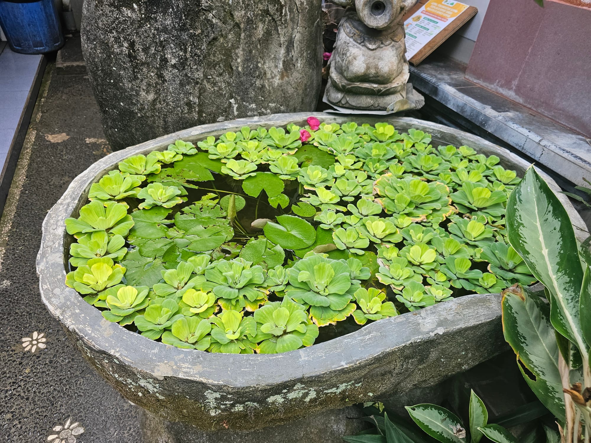 Bali