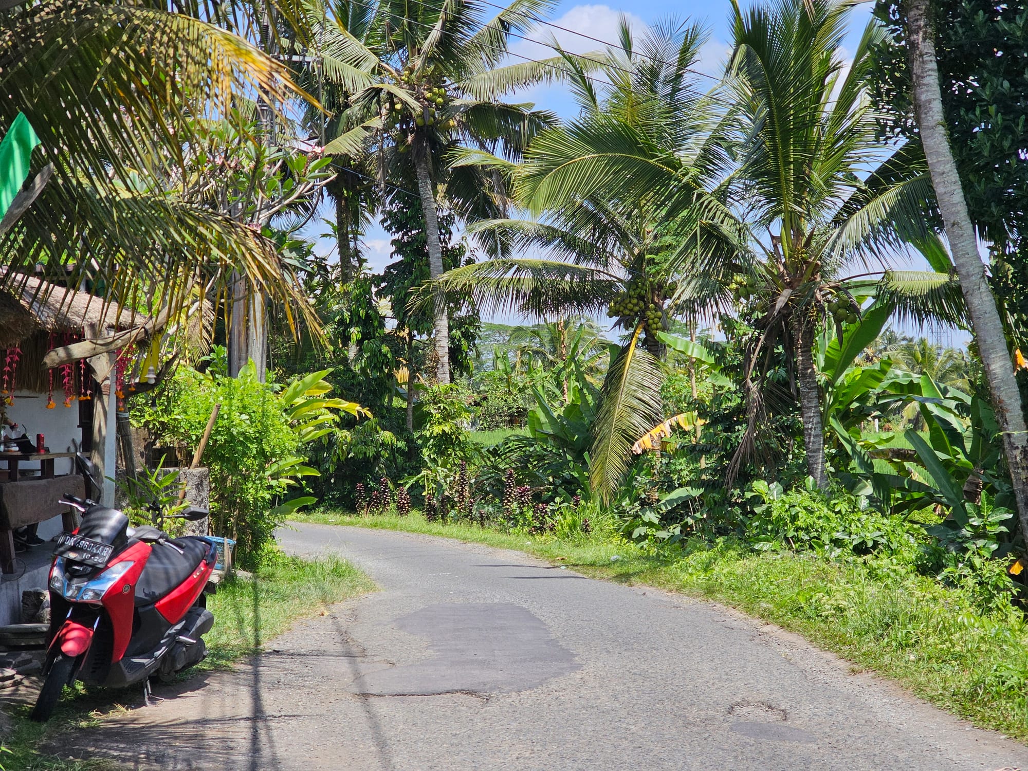 Bali