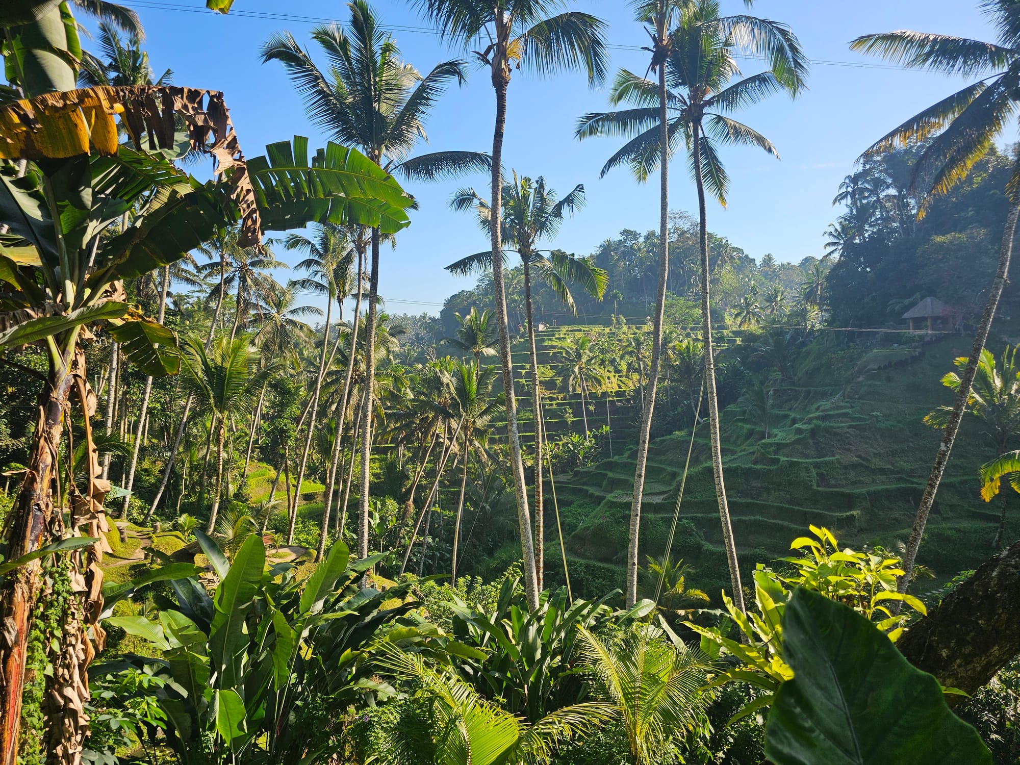 Bali