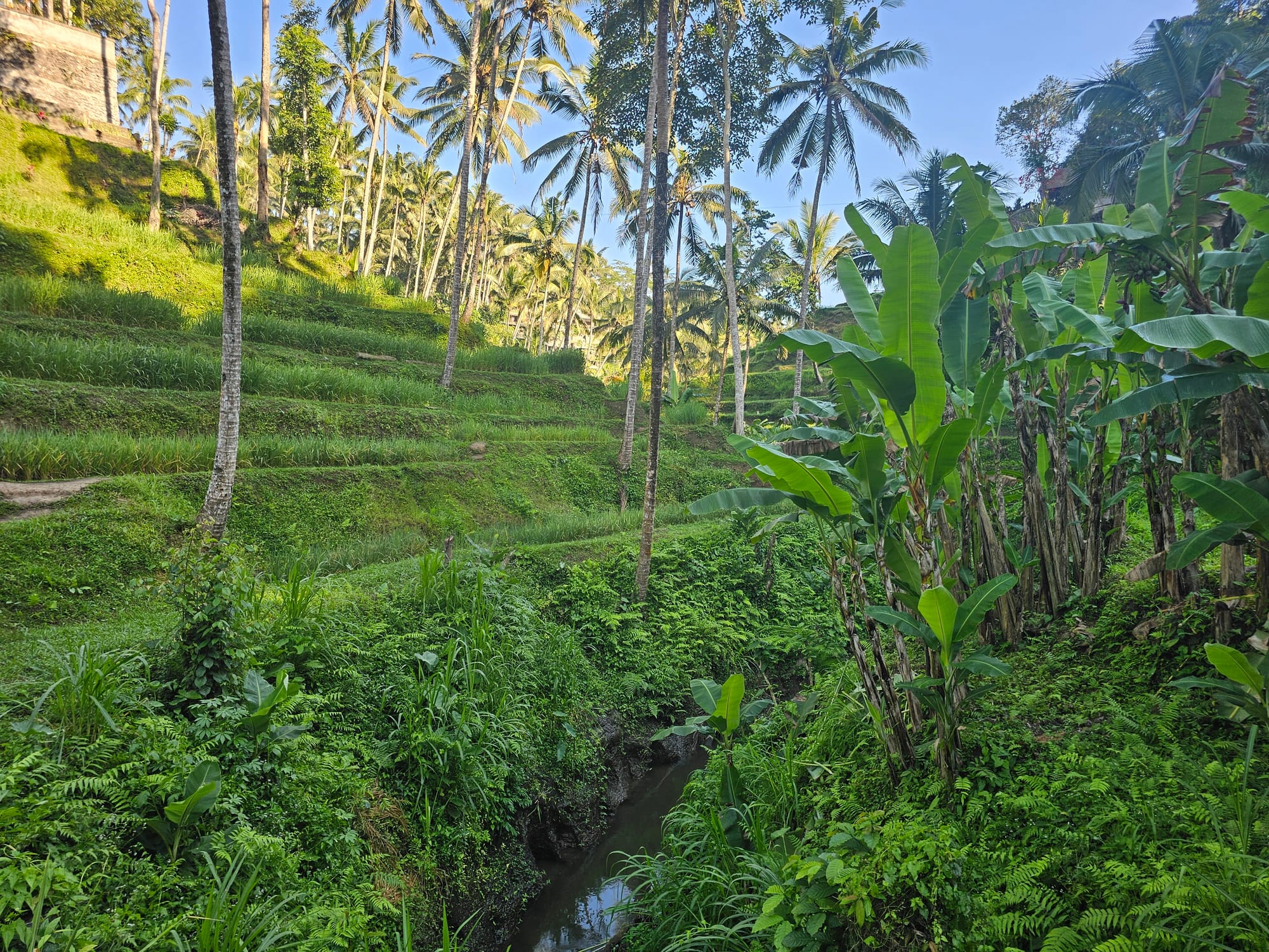 Bali