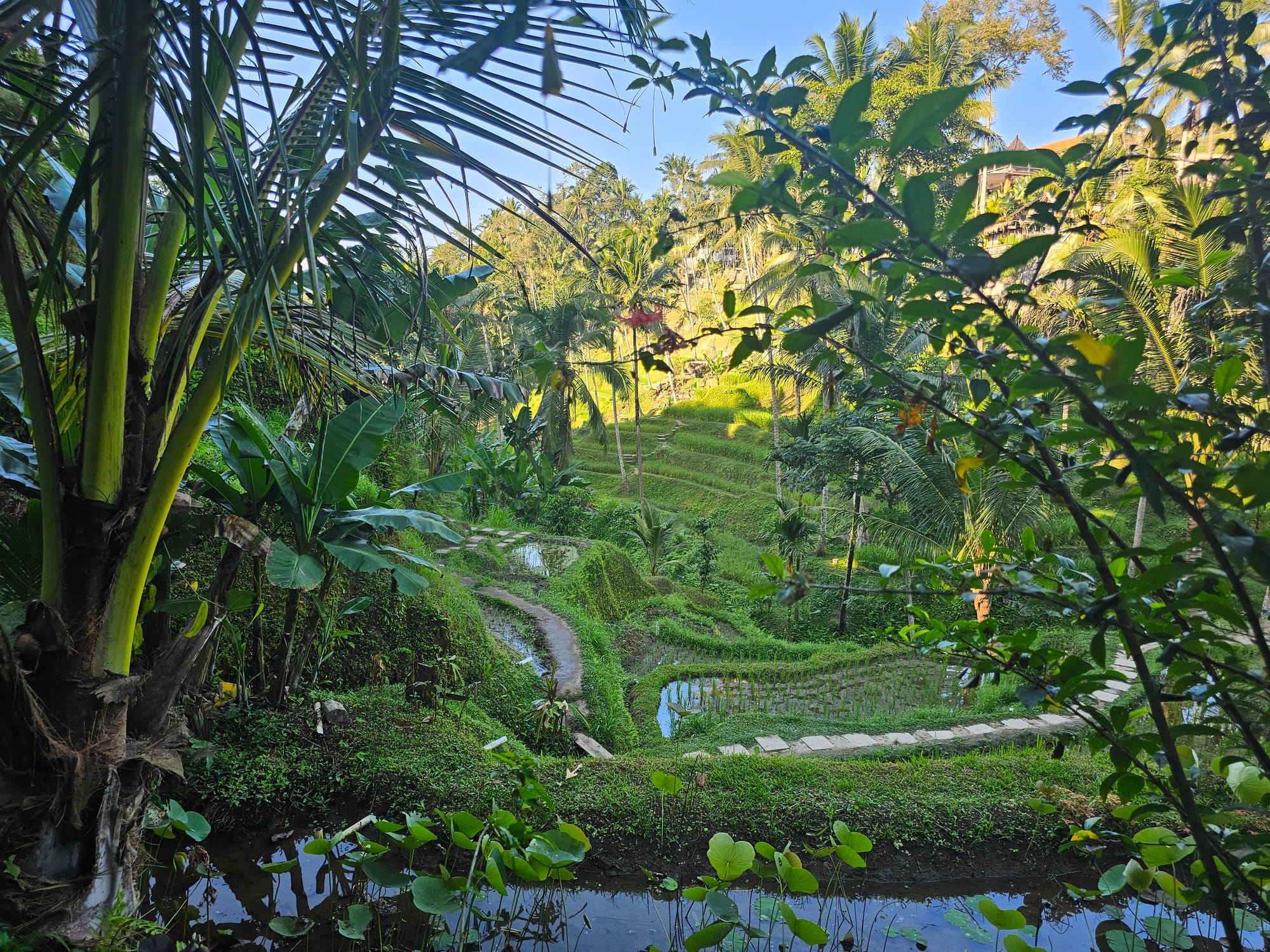 Bali