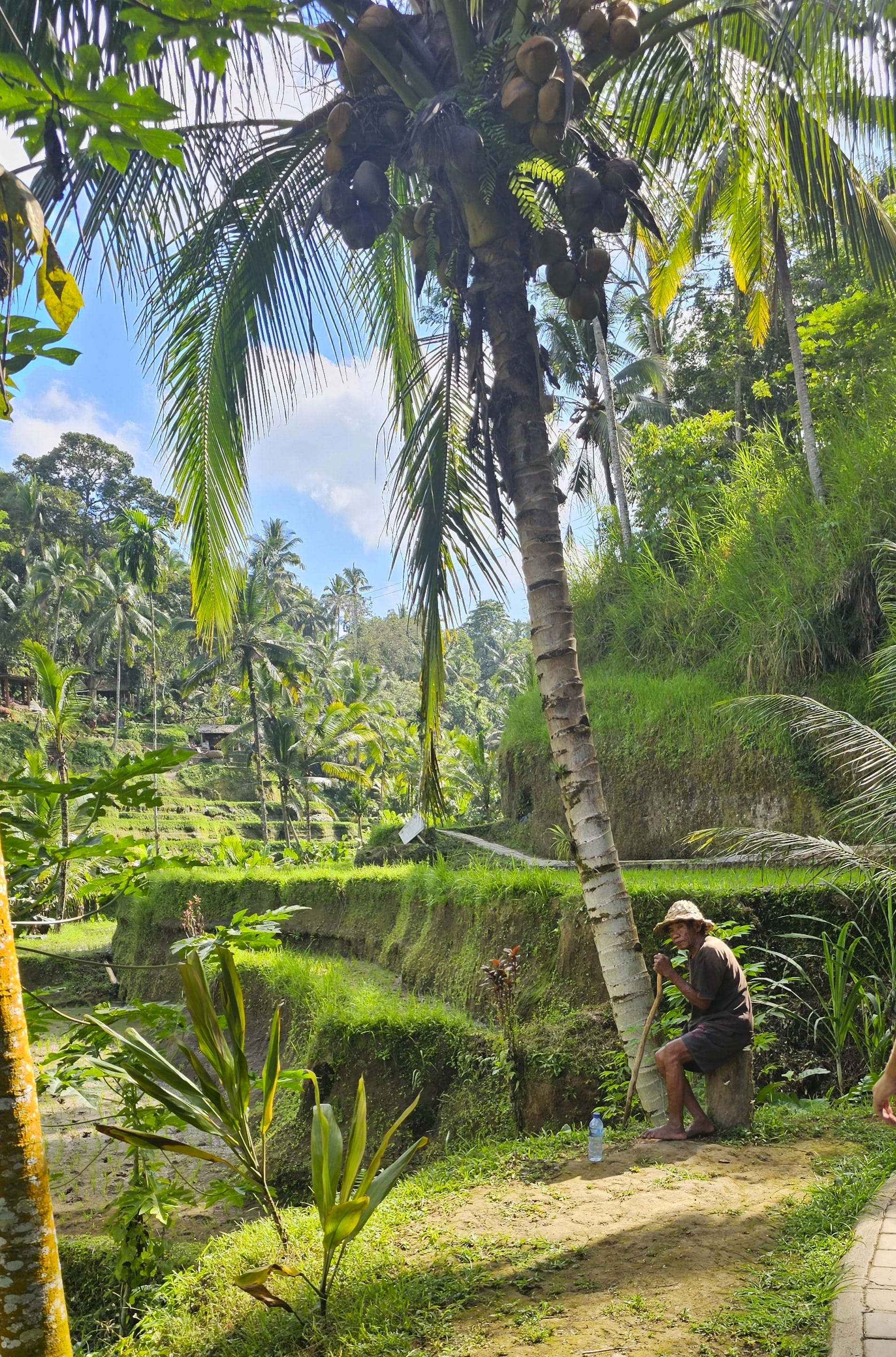 Bali