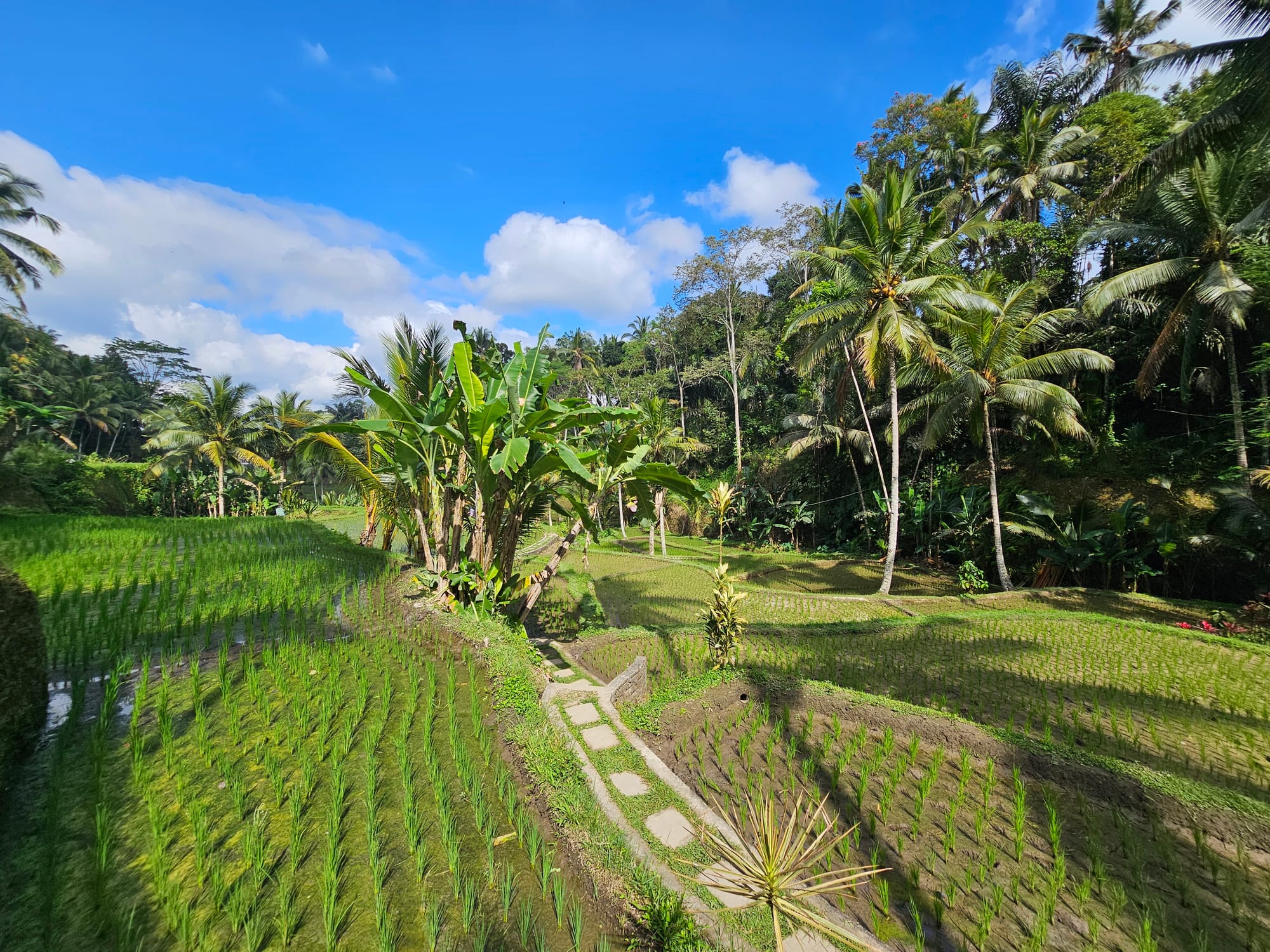 Bali