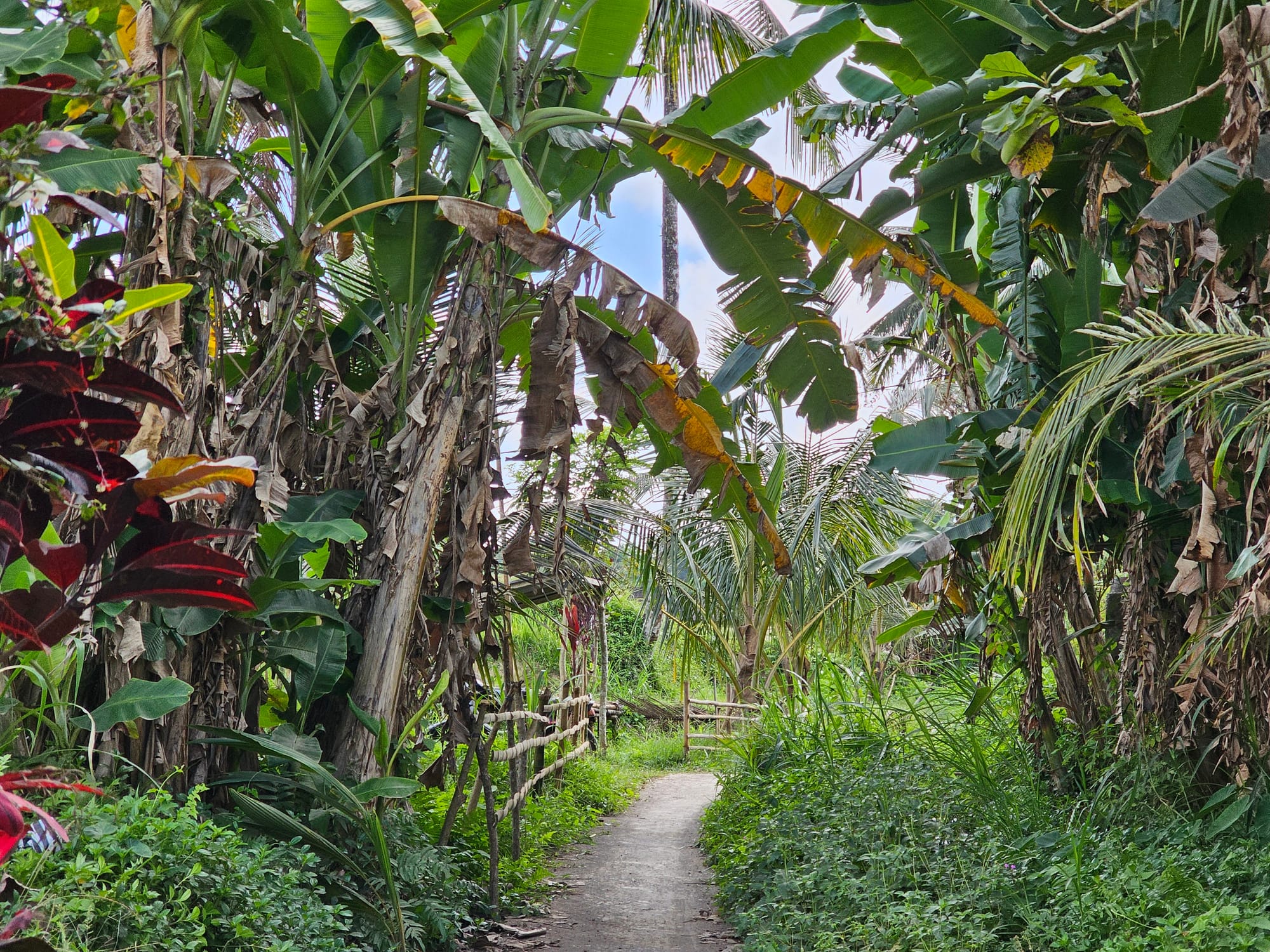 Bali