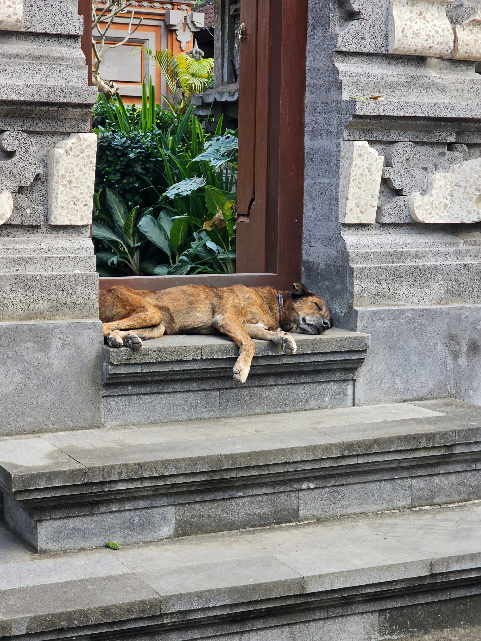 Bali