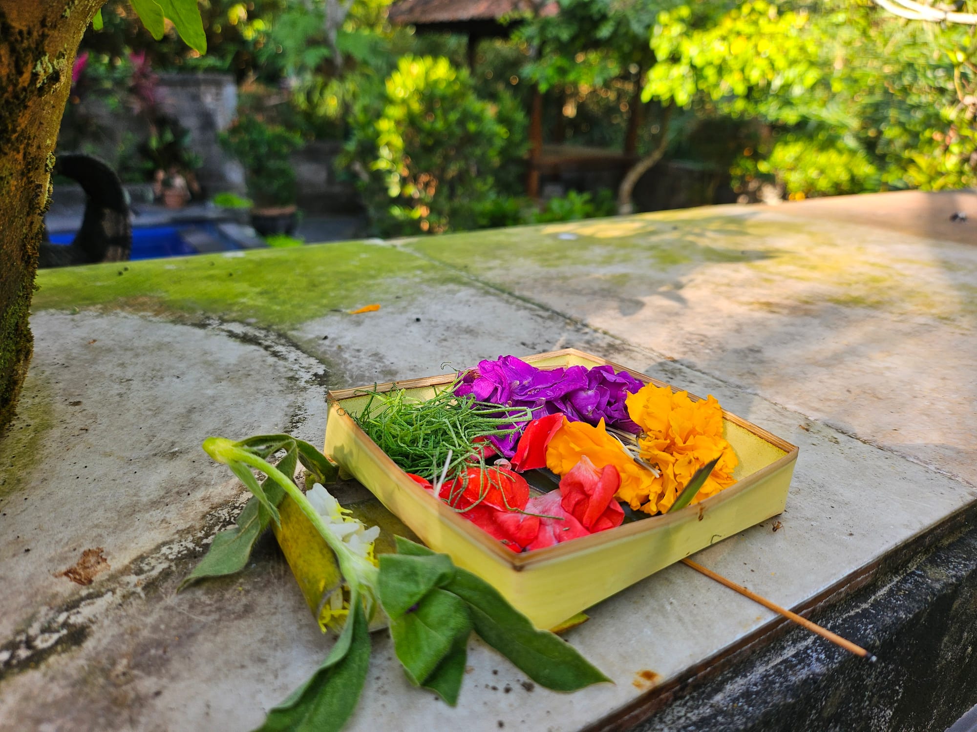 Bali