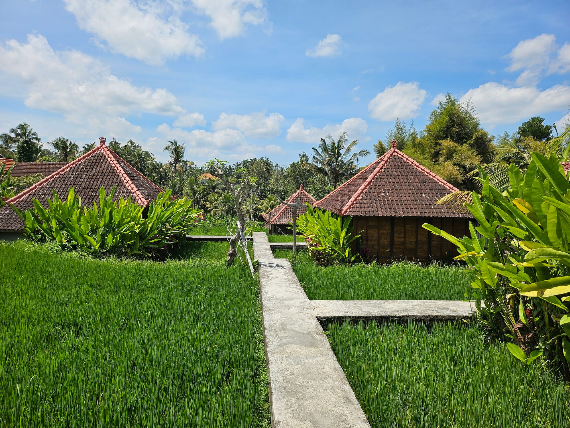 Bali