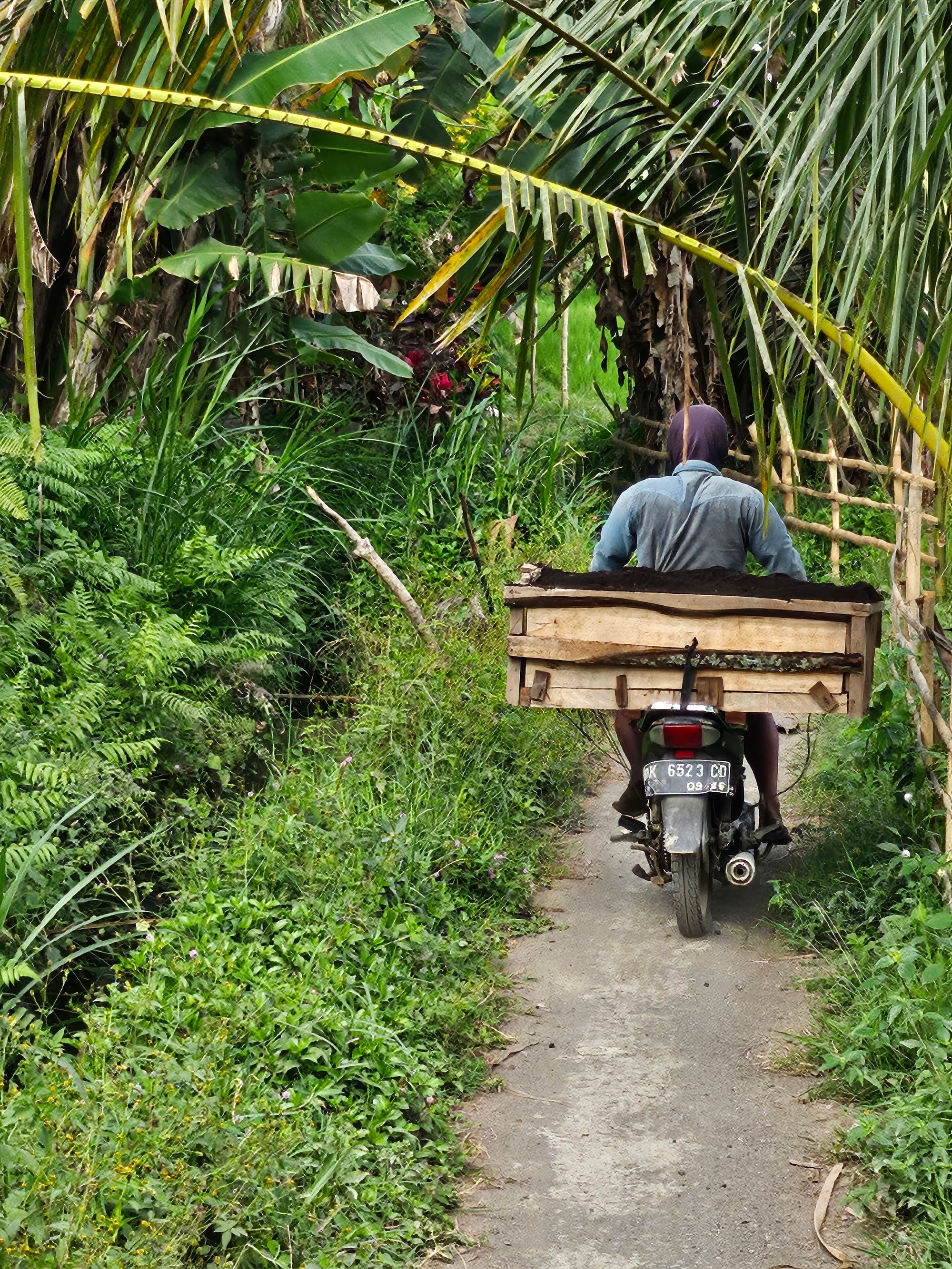 Bali