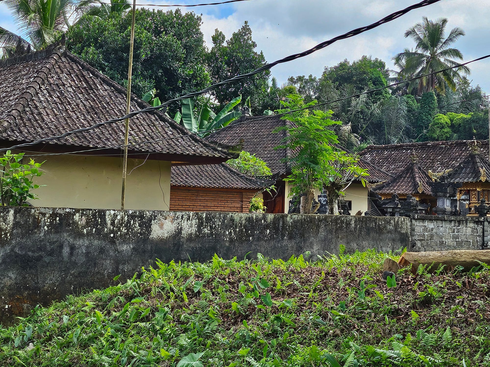 Bali
