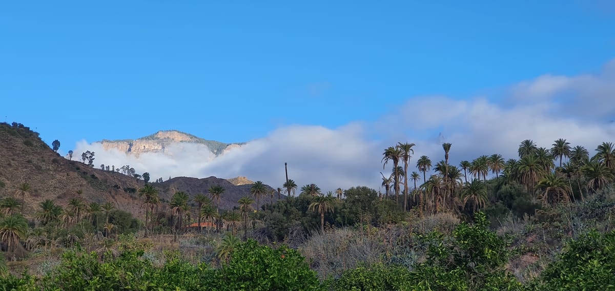 Gran Canaria