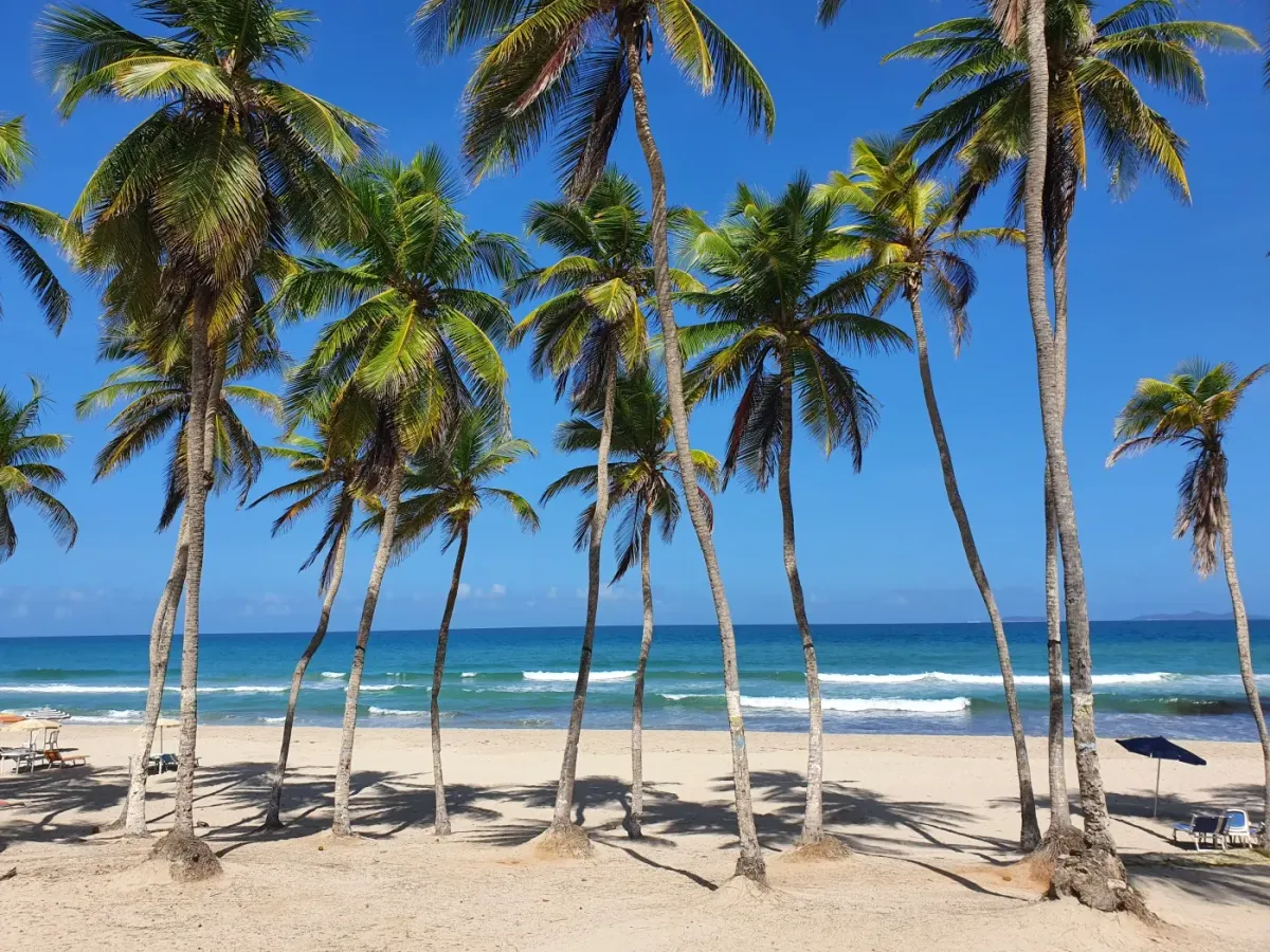 Venezuela, Nueva Esparta State, Caribbean islands: Margarita Coche Cubagua