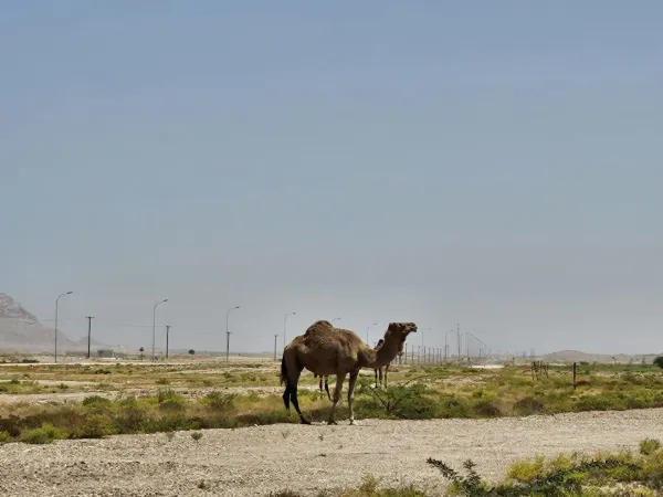 Oman
