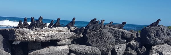 Galapagos