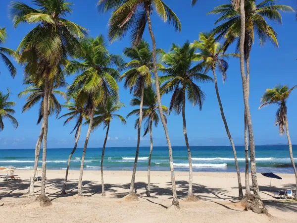 Venezuela, Nueva Esparta State, Caribbean islands: Margarita Coche Cubagua
